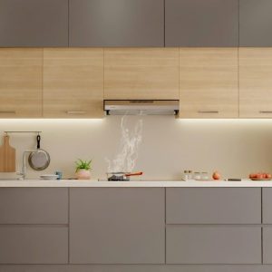 Máy hút mùi Dmestik ES 1170DMK