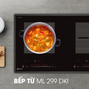 Bếp từ đôi Dmestik ML299 DKI