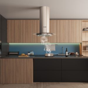 Máy hút mùi đảo D’mestik TL 4099 DMK