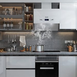 Máy hút mùi gắn tường D’mestik TL4670 DMK